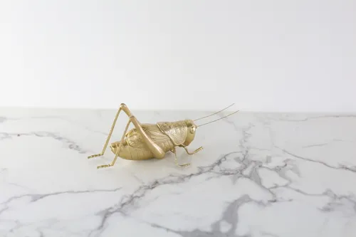 Gold Grasshopper