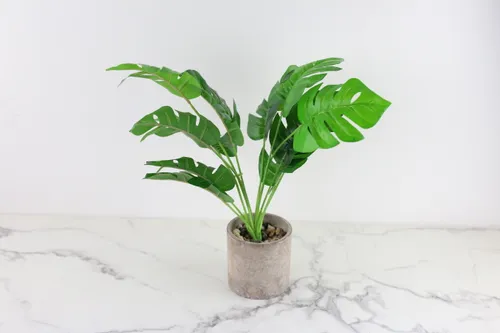 Faux Plant No. 60