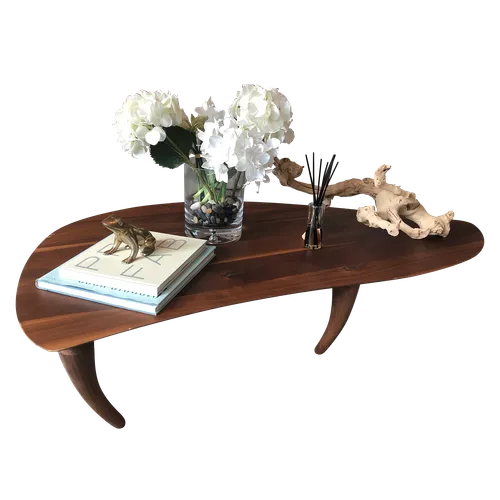 KATRIN Walnut MCM Bean Coffee Table