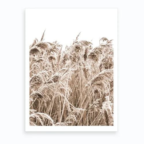 No. 92 Artwork - L - 25X33