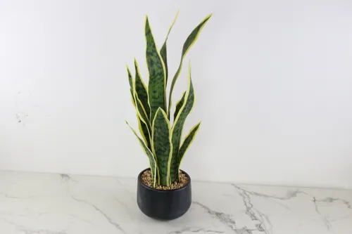 Faux Plant No. 54