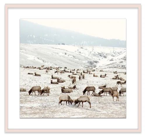 Katrin Reindeer Artwork