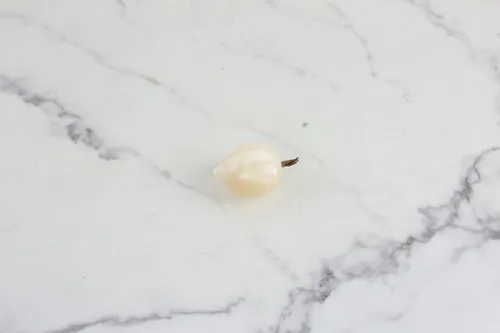 Vintage Stone Kumquat