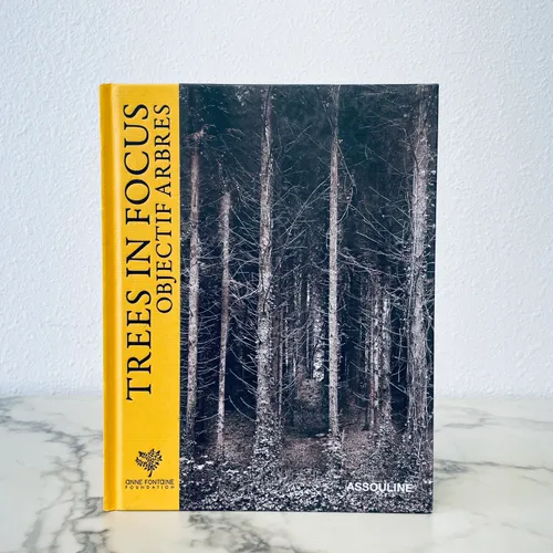 MB - Treess In Focus