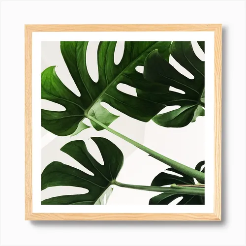 No. 6 Artwork - L - 30x30