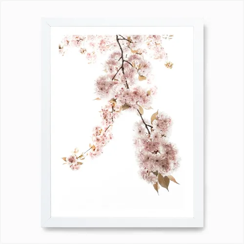 No. 129 Artwork - L - 25x20 