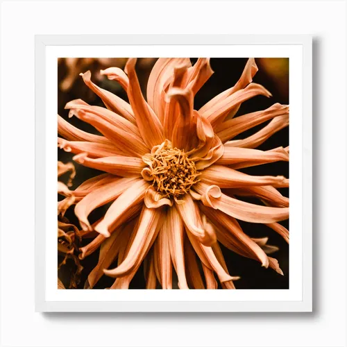 No. 36 Artwork - S - 13x13