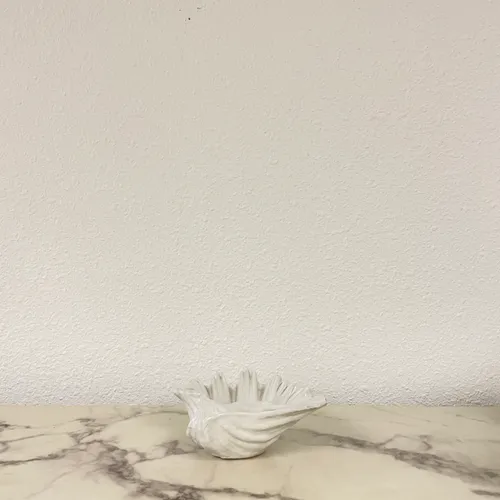 Ceramic White Shell Catchall