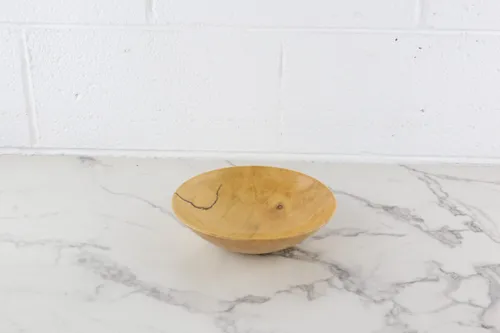 Vintage Petrified Wood Bowl