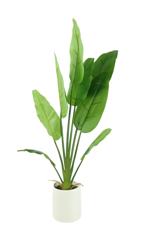 AMANDA Faux Plant No. 53