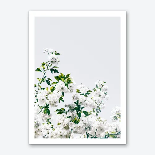 No. 44 Artwork - L - 25X33