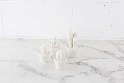 Ceramic Cacti Set