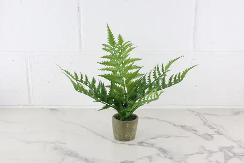 Faux Plant No. 20