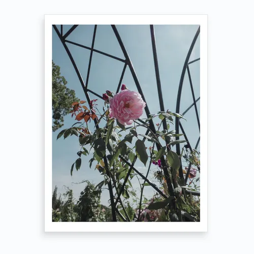 No. 85 Artwork - L - 42X30