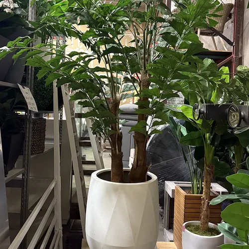 Katrin Dark Leaf Palm + Wht Pot