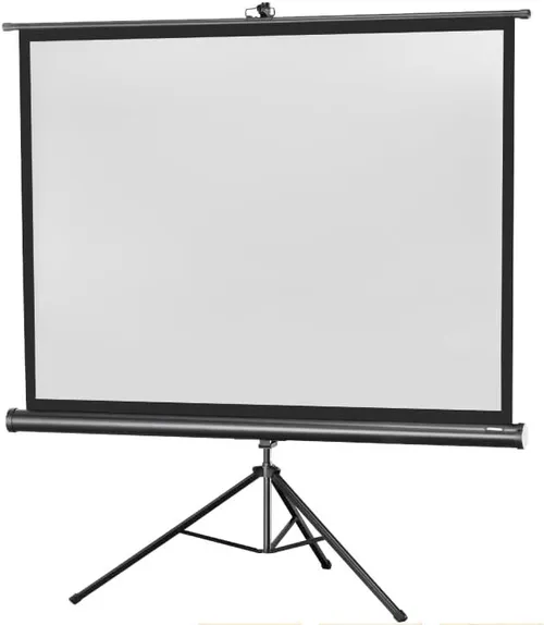 Portable movie screen