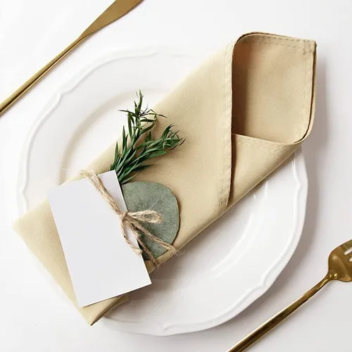 Dinner Napkins Champagne