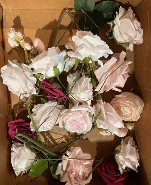 Light pink, white, and maroon individual flowers