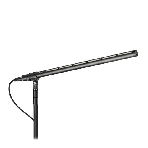 BP28L - Large Diaphragm Line + Gradient Condenser Microphone