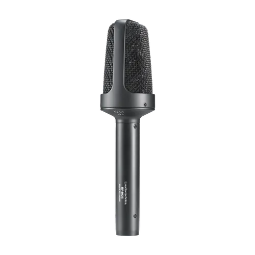 BP4025 - Stereo Large Diaphragm Microphone