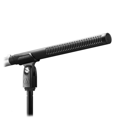 BP4029 - Short Stereo Line + Gradient Condenser Microphone