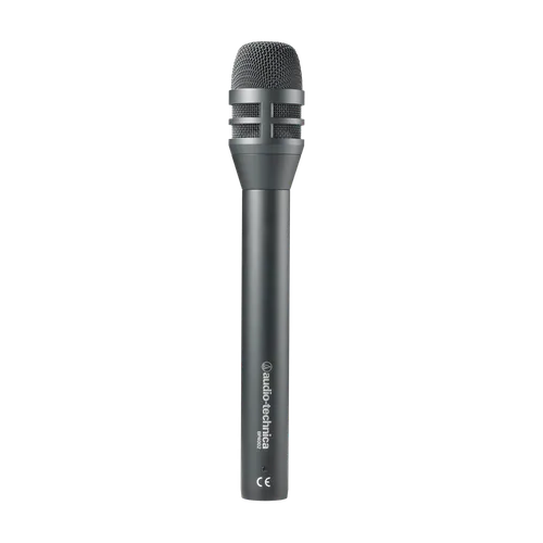 BP4002 - Omnidirectional Dynamic Handheld Microphone