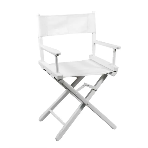 Director chair