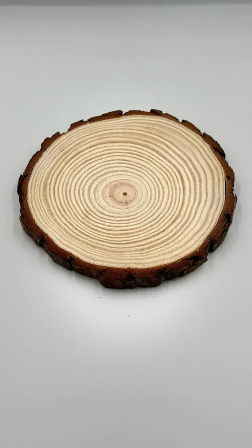 Wooden Slice