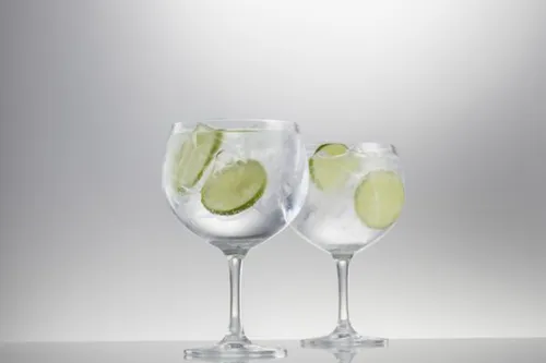 Gin Tonic Glazen per 6