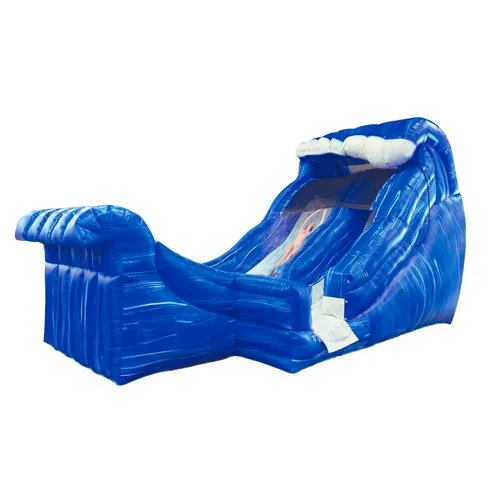 Wild Wave Water Slide