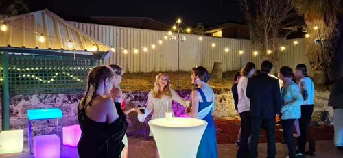 Festoon Poles Outdoors - DIY