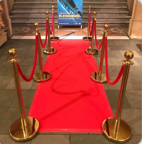 8 Bollards + 6 Ropes + Carpet 