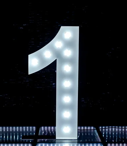 Light Up Number - 1