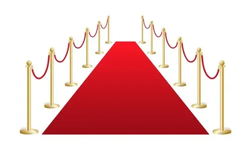 10 Chrome Bollard + 8 Ropes + Carpet