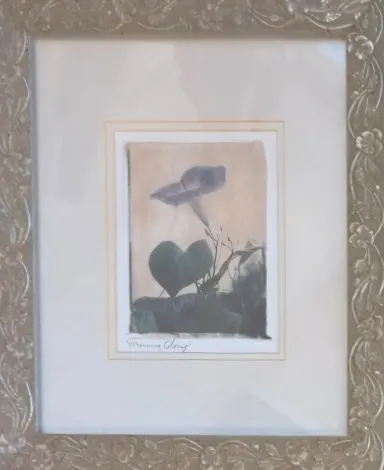Small/Med Silver/champagne Framed Botanical art 13