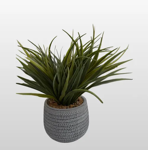 small desk plant/succulent in ceramic gray pot 