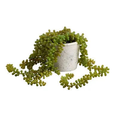 Small green Faux string of pearls plant in stone pot