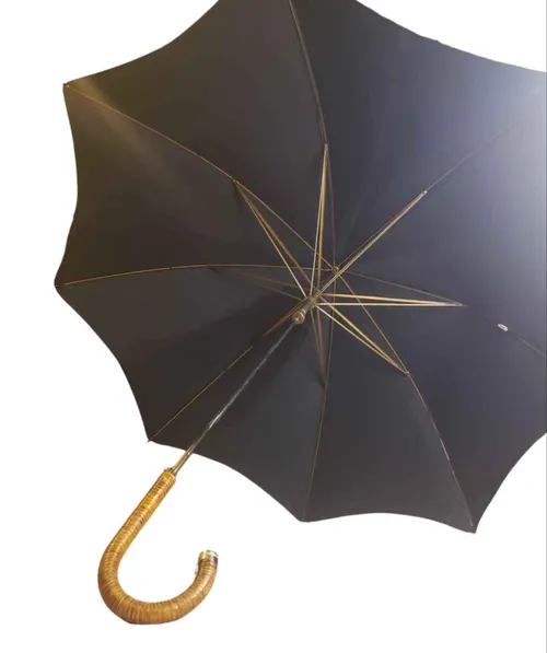 Vintage Black Umbrella