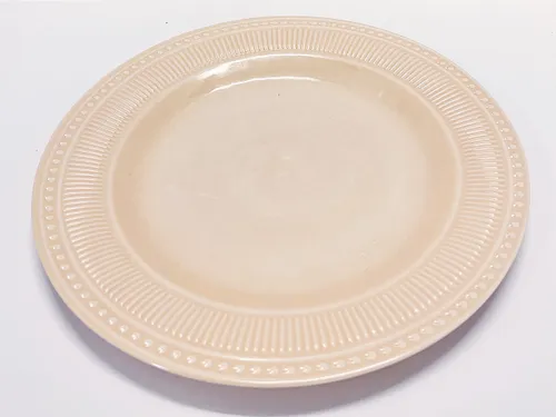 Melon Plastic Dish