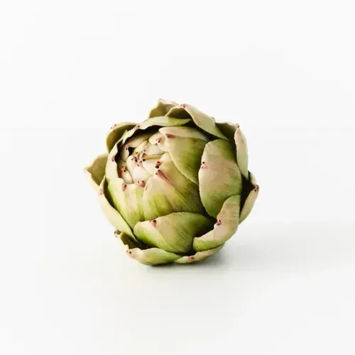 Vegetable Artichoke