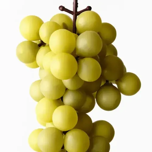 Fruit Grape Bunch Green