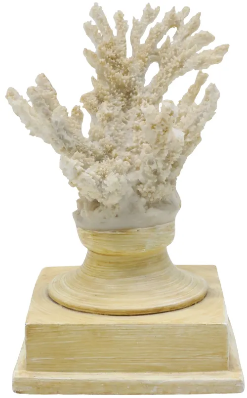 White Coral On Base