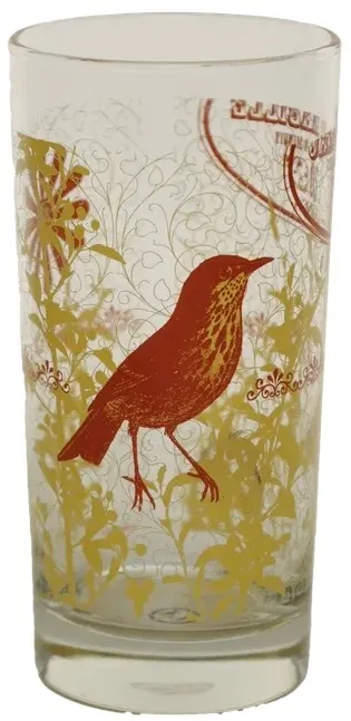 Clear Drinking Glass with Orange Birds & Yellow Flowers