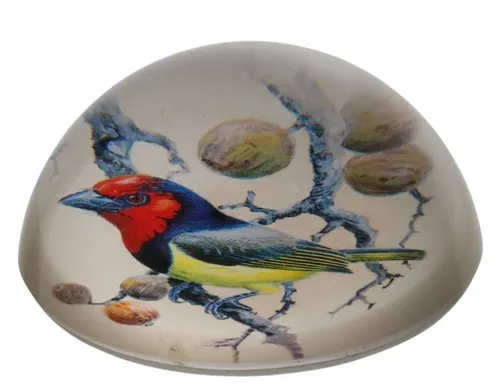 Glass Paperweight With Bird Illustration