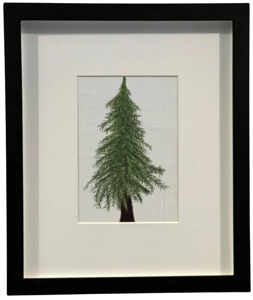 Green Tree In Black Frame