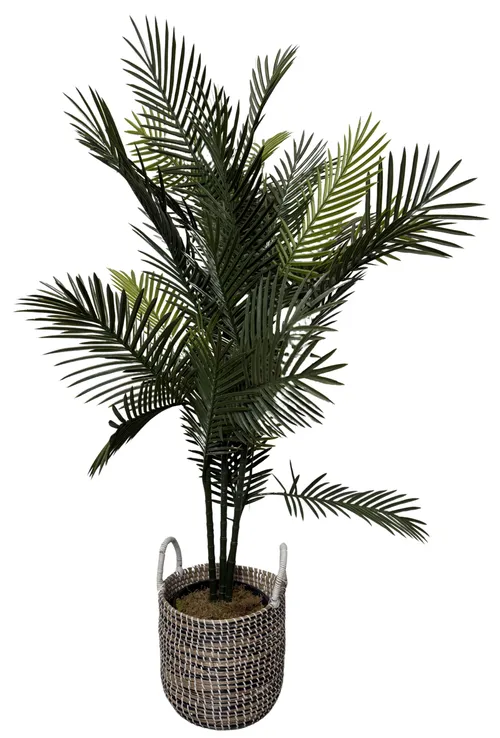 Artificial Paradise Palm Tree In Woven Planter