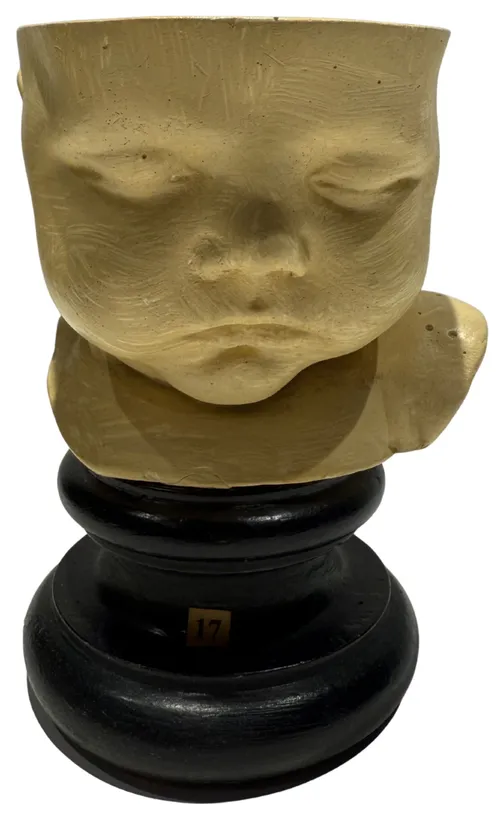  Phrenological Anatomical Head Of Child Model