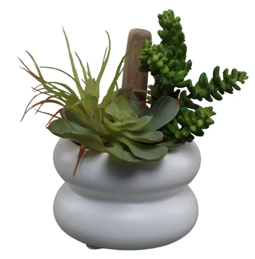 Artificial Succulents In White Double Ribbed Pot