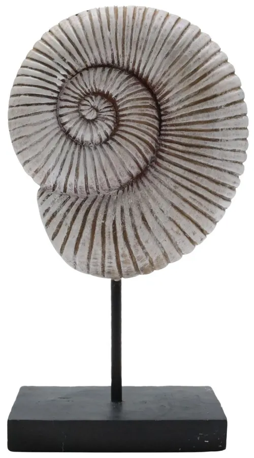 Ammonite Fossil Sculpture On Stand