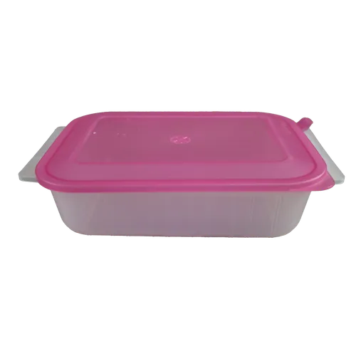 Large Clear Plastic Reusable Food Container With Flamingo Pink Lid